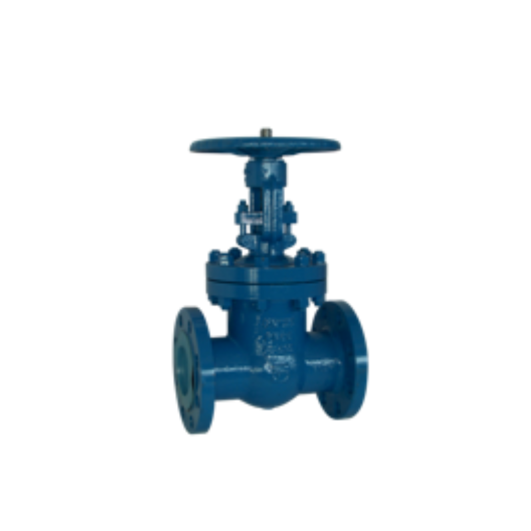 Design sans titre (34) Vanne à Passage Direct – Image 1